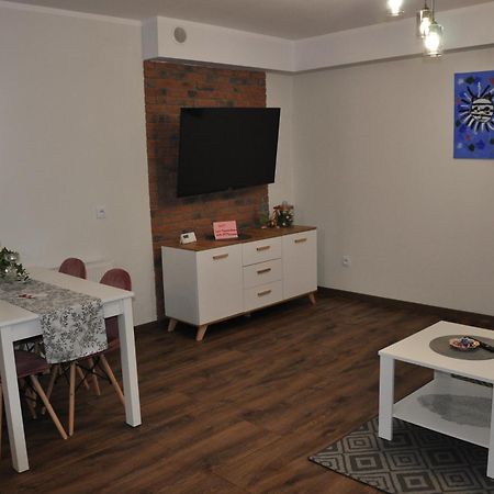 Malinowka Izerska II Apartment Swieradow-Zdroj Exterior photo